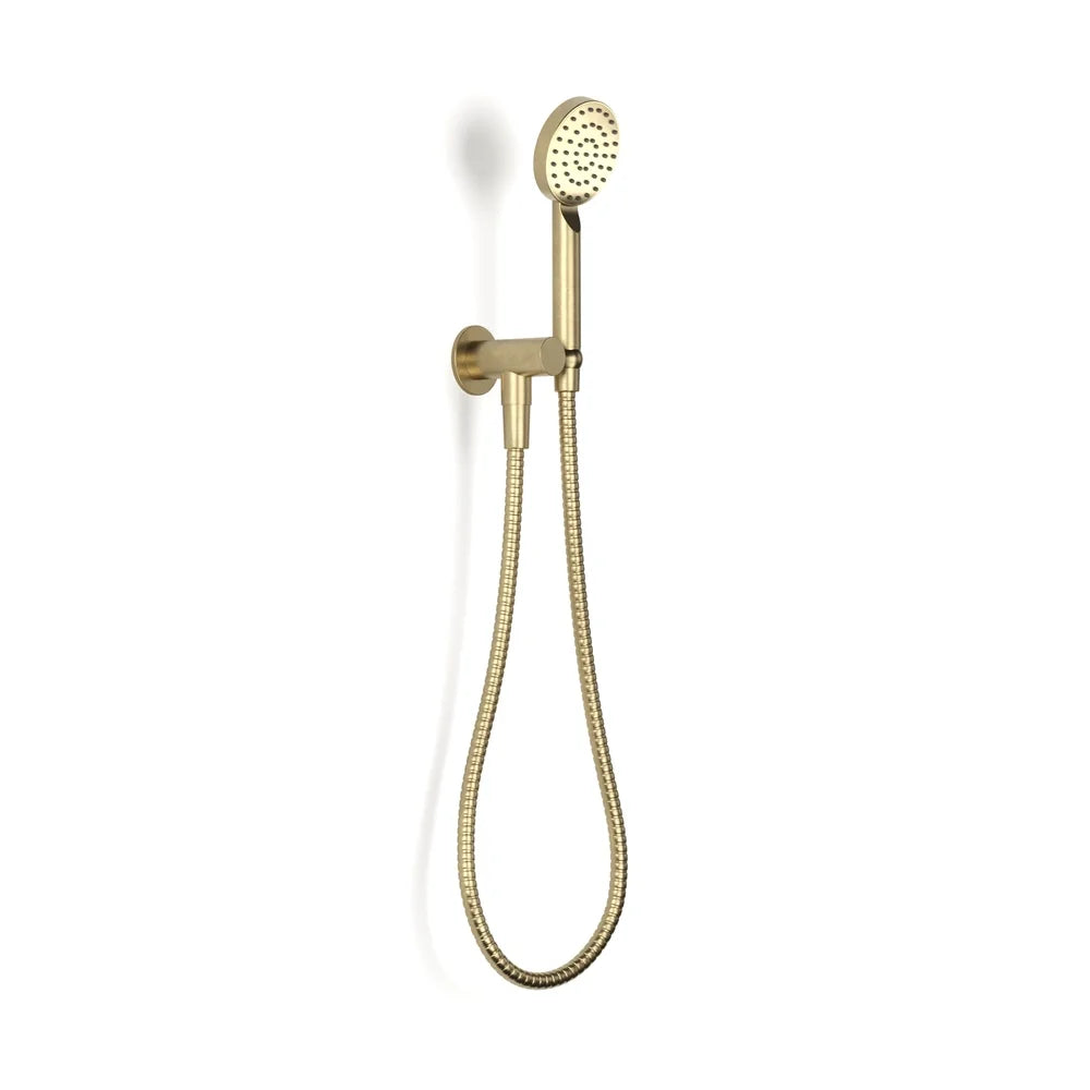 Pegasi Hand Shower on Adjustable Hook
