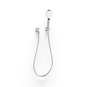 Pegasi Hand Shower on Hook
