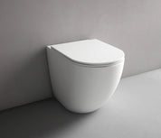 Hyde Rimless Wall Faced Pan