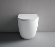 Hyde Rimless Wall Faced Pan