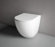 Hyde Rimless Wall Faced Pan