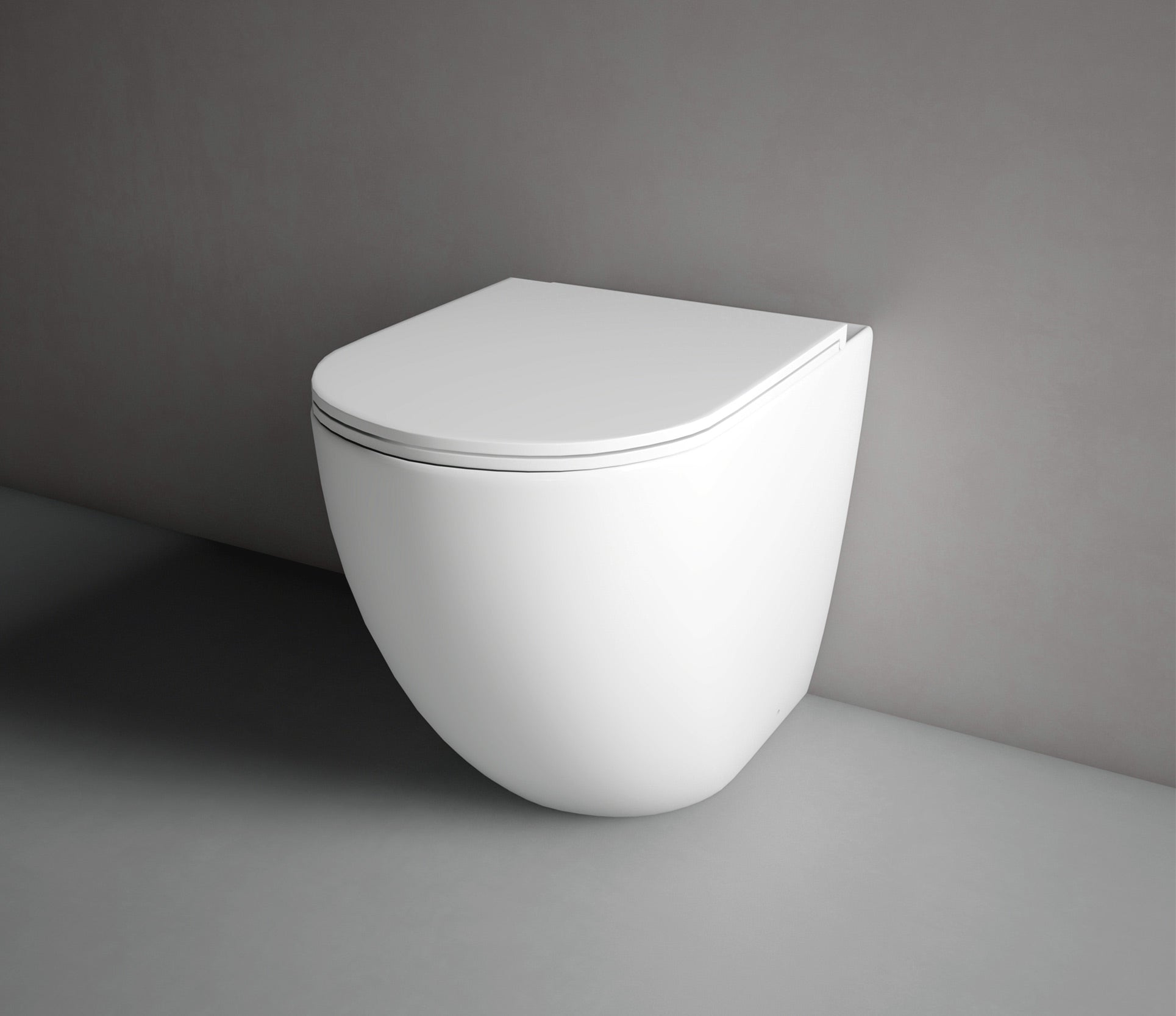 Hyde Rimless Wall Faced Pan