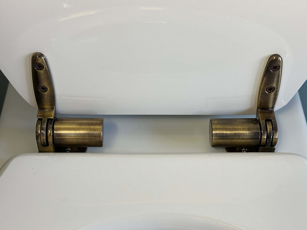 cl211fp-br_claremont_floor_pan_with_antique_brass_hinge_seat_4_549831887.jpg
